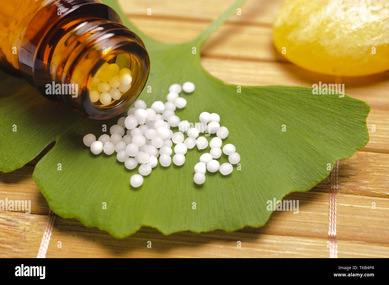 Alternative Medizin mit pflanzlichen und homöopathischen Pillen Stockfoto