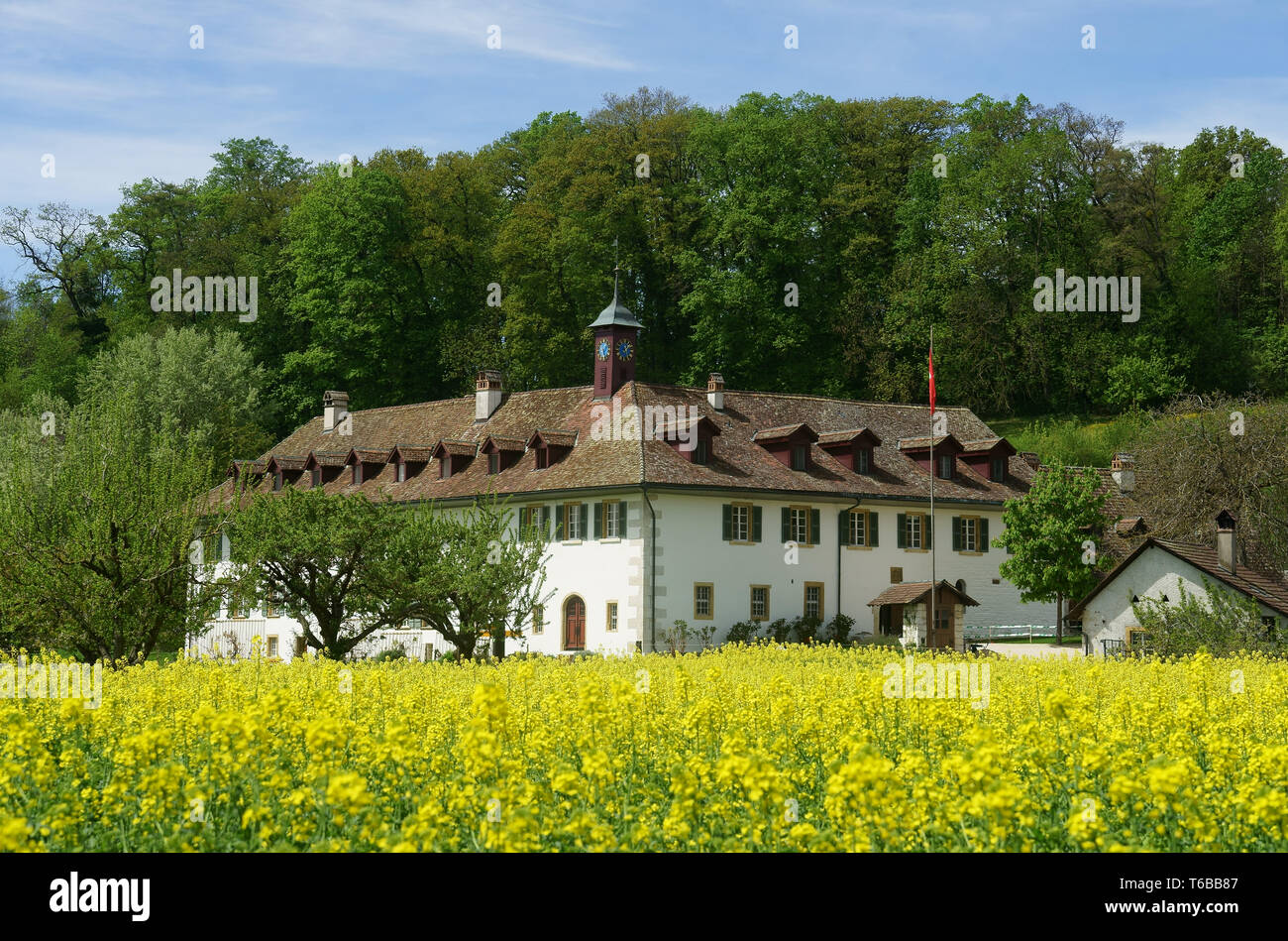 Ehemaliges Kloster und jetzt das Hotel und Restaurant St. Peter Insel im See oder Biel Bienne im Frühling mit blühenden Raps Feld, Schweiz Stockfoto