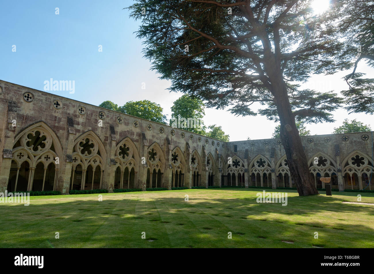 Blick auf den Garten des Kreuzgangs der Kathedrale Kirche der Seligen Jungfrau Maria, Salisbury, Wiltshire, England, Großbritannien Stockfoto