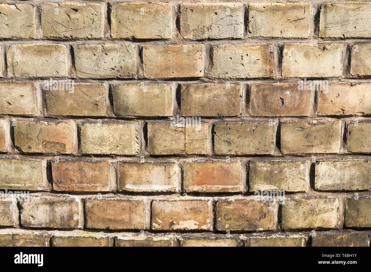 Wand aus gelben Backsteinen Stockfoto