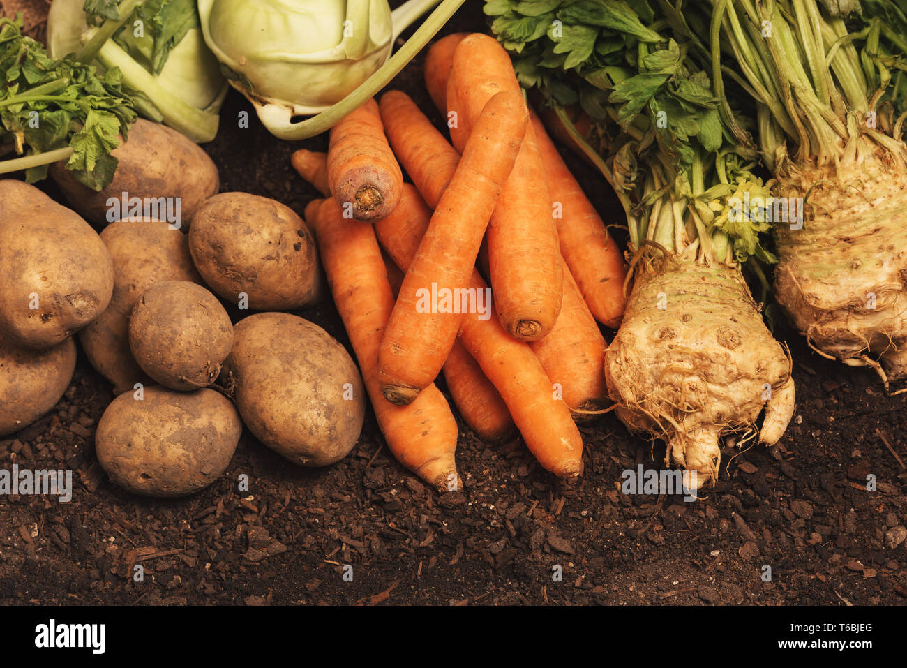 Organische homegrown produzieren Pile-Knollen der Kartoffel, Karotte, Sellerie und Kohlrabi Gemüse Stockfoto