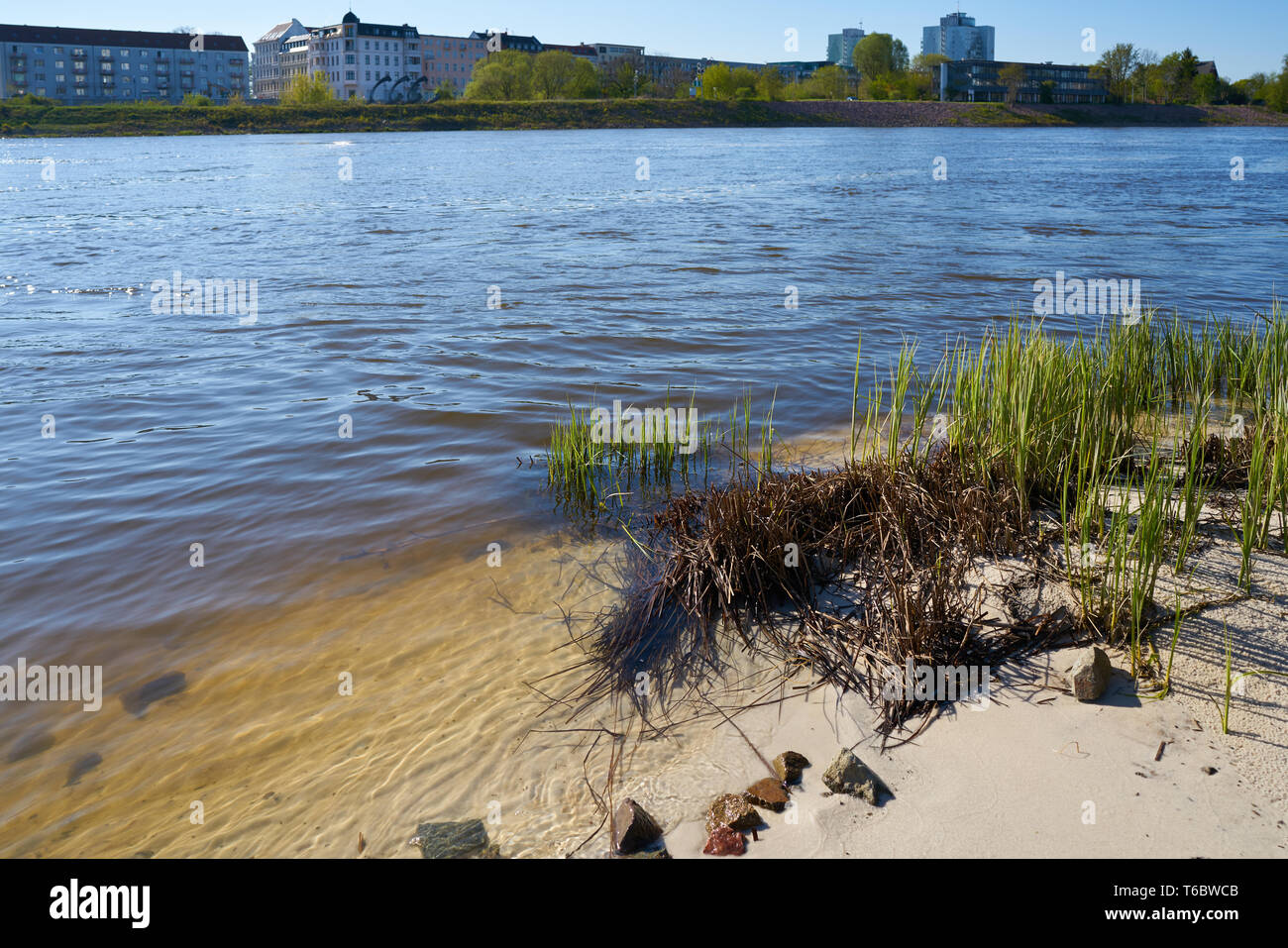 Am Ufer der Elbe in der Nähe von Magdeburg. Stockfoto
