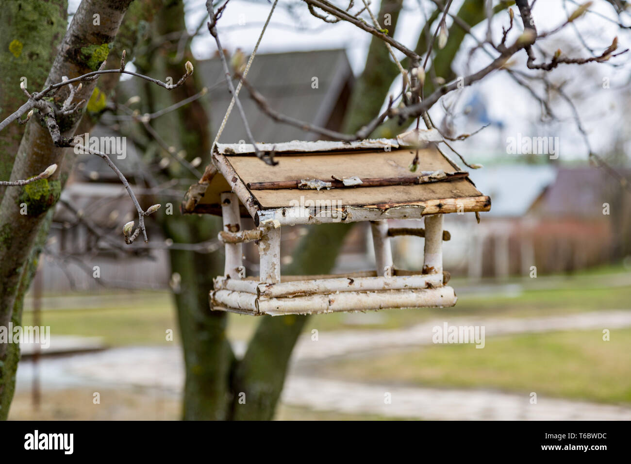 Abzweig für Vögel im Park Stockfoto