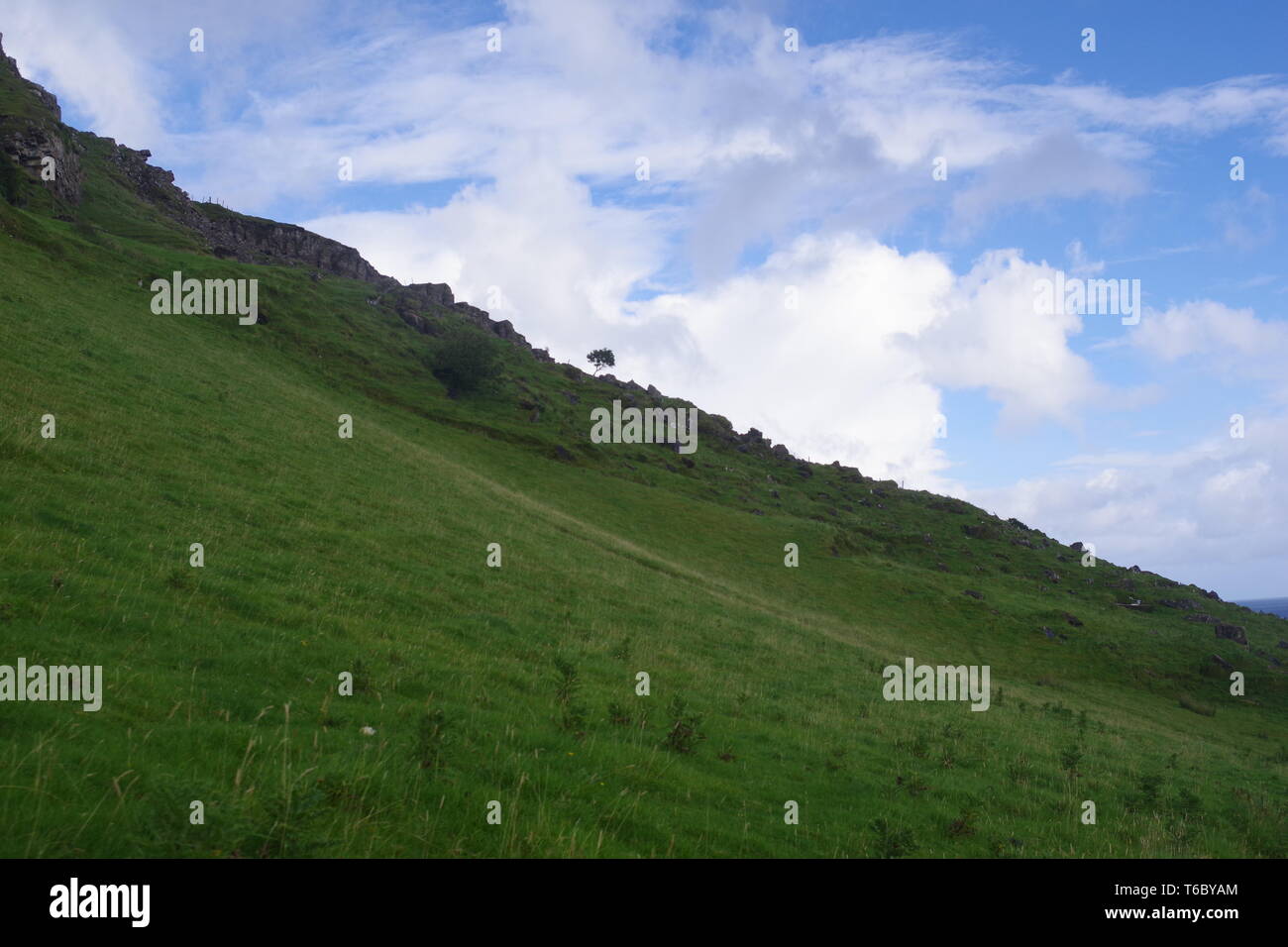 Üppig grüne Schafe auf der Weide Hügel bei Brüder Point (Rubha nam Brathairean) Isle of Skye, Schottland, Großbritannien. Stockfoto