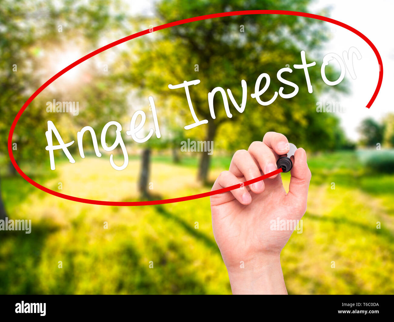 Mann Hand schreiben Angel Investor mit schwarzem Marker auf visuelle Bildschirm. Stockfoto