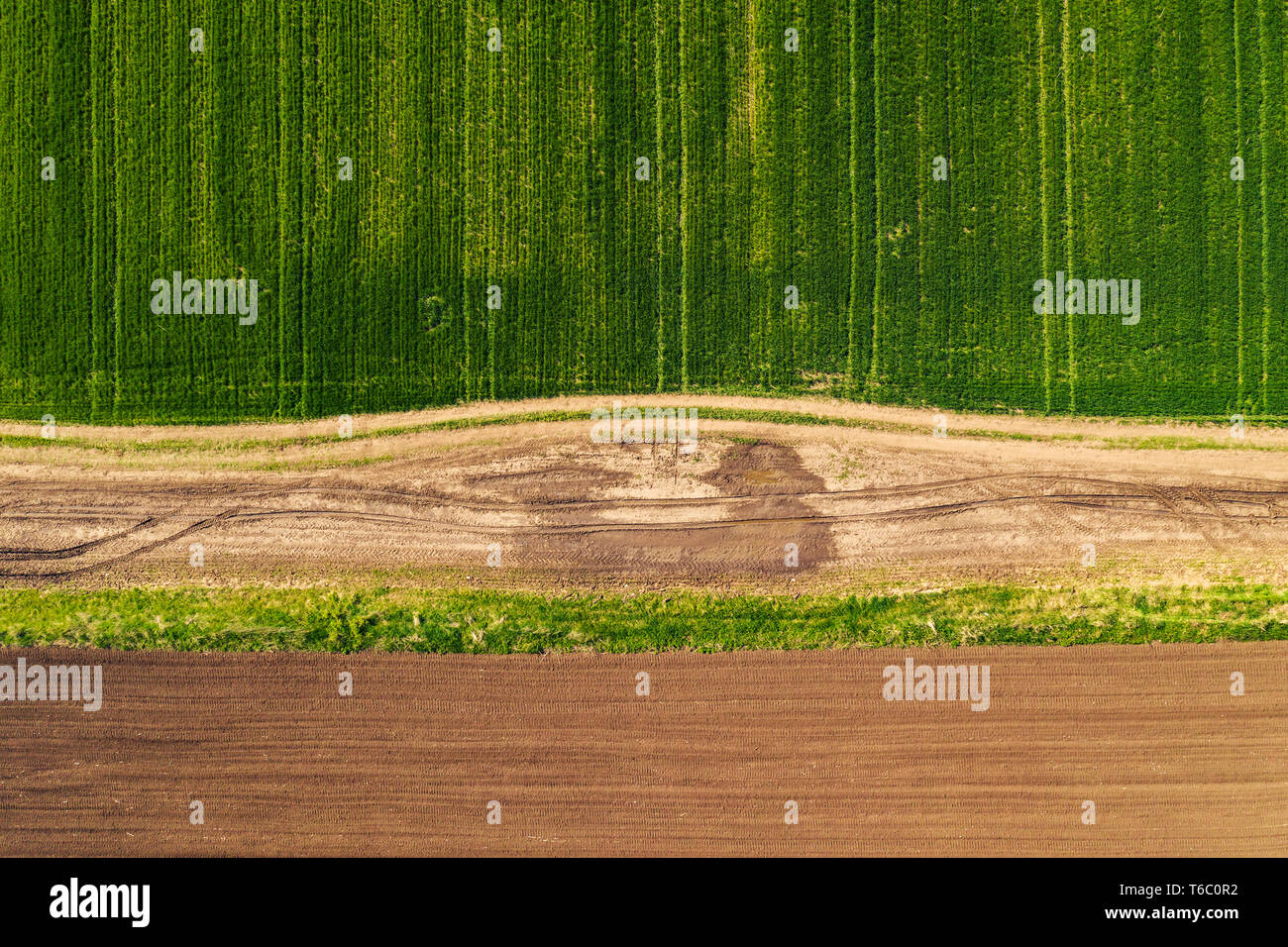 Luftaufnahme von Schmutz, Straße durch Landschaft und landwirtschaftlichen Bereich von Drone pov, top-down Perspektive Stockfoto