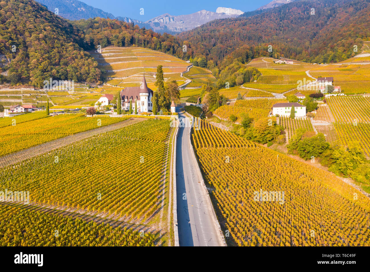 Chateau Maison Blanche, Yvorne, Kanton Waadt, Schweiz Stockfoto