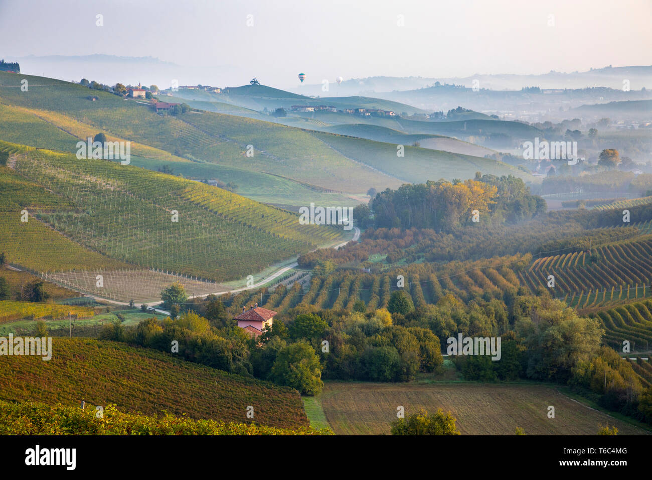 Italien, Piemont (Piemonte), Cuneo, Langhe, Heißluftballone fliegen über Tal bei Sonnenaufgang Stockfoto