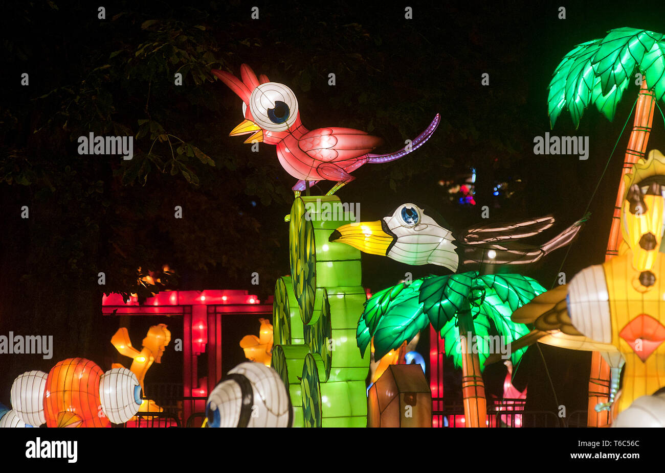 Calais (Frankreich): die China Licht Festival, vom 20. Oktober 2018 bis 6. Januar 2019, im Park 'Parc Saint-Pierre" in Calais. Diese LANTER Stockfoto