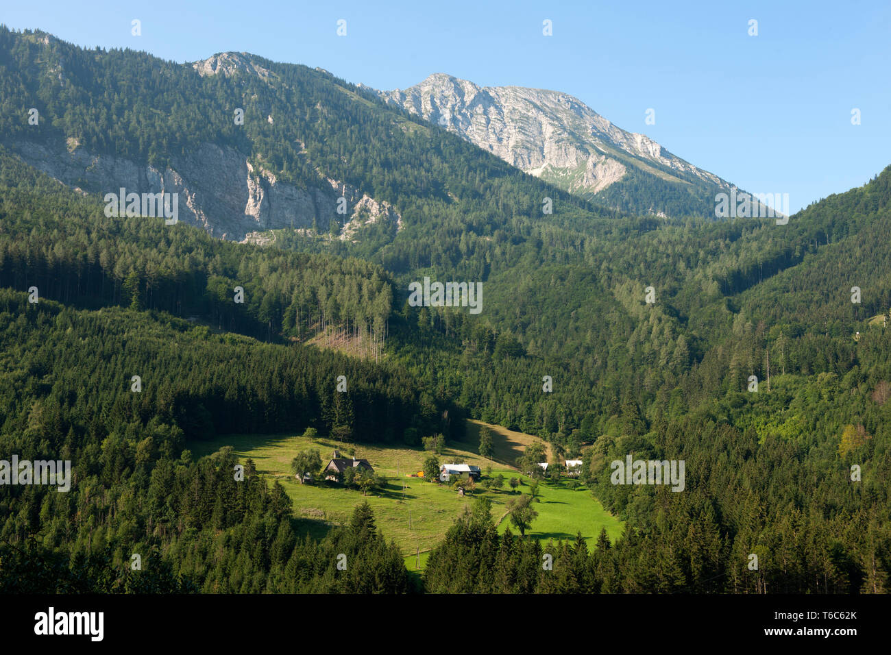 Österreich, Niederösterreich, Ötscherland, Blick von der Panoramastrasse (puchenstuben - trübenbach) zum Ötscher Stockfoto