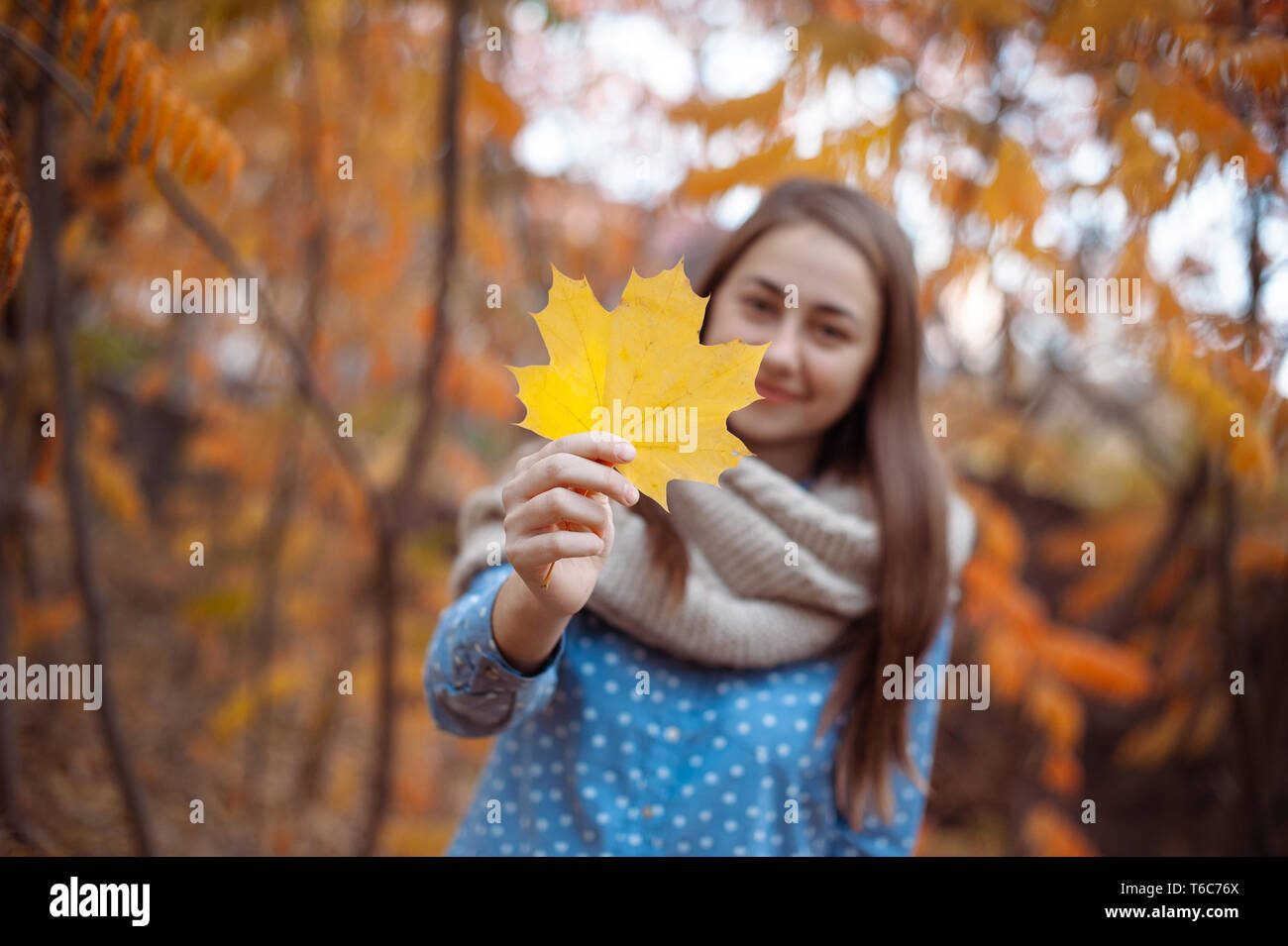 Schöne junge Frau hält eine Reihe von Herbst Blätter Stockfoto