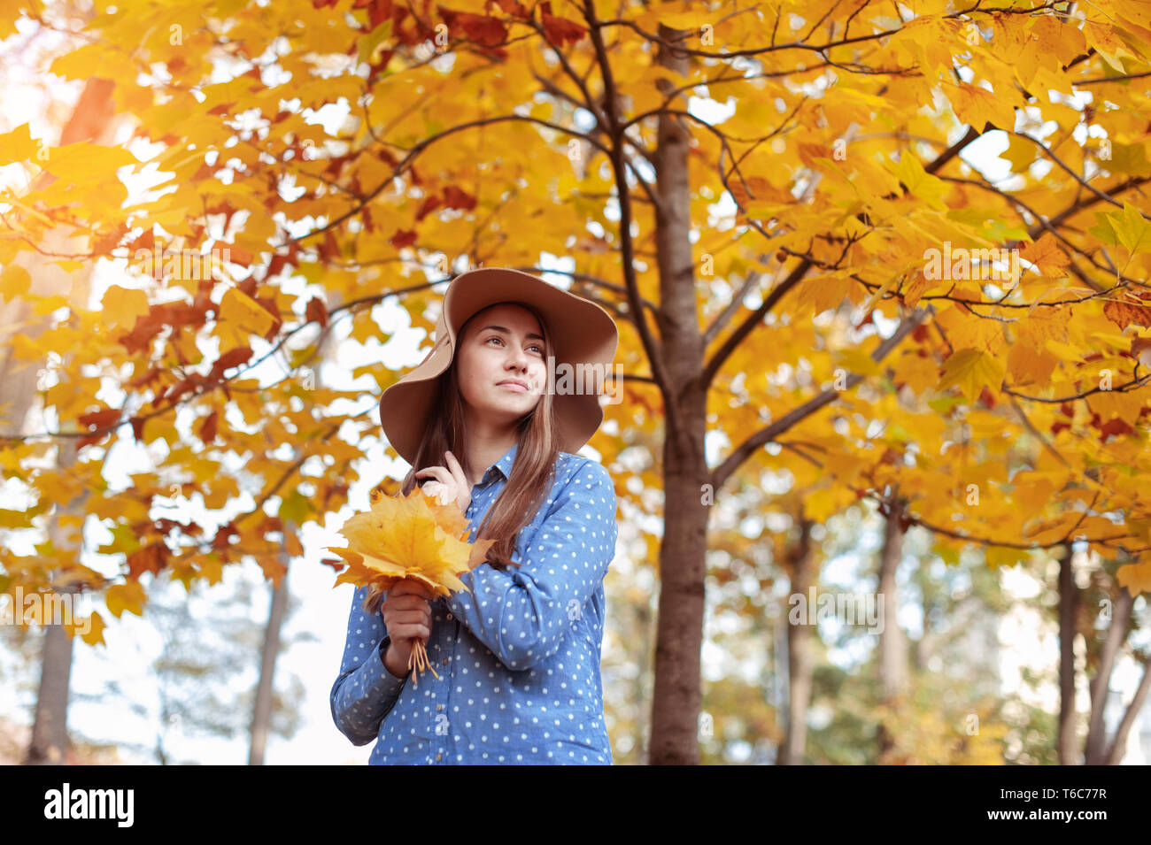 Schöne junge Frau hält eine Reihe von Herbst Blätter Stockfoto