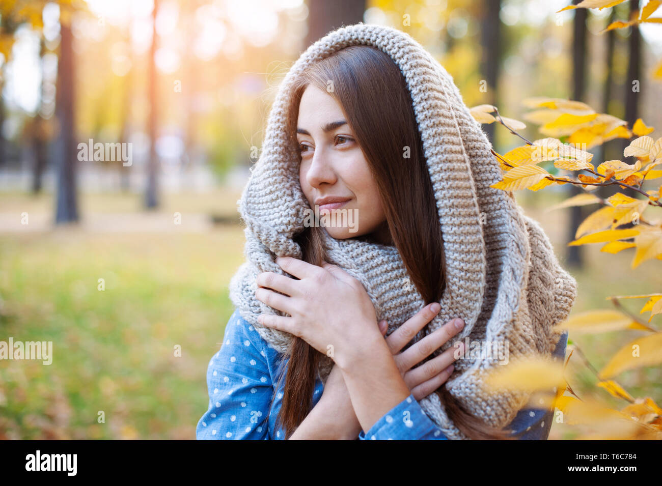 Nett schön lächeln Frau wandern in Gelb Herbst Park. Mädchen in knitten Schal in der Nähe von Baum und sie ist glücklich Stockfoto
