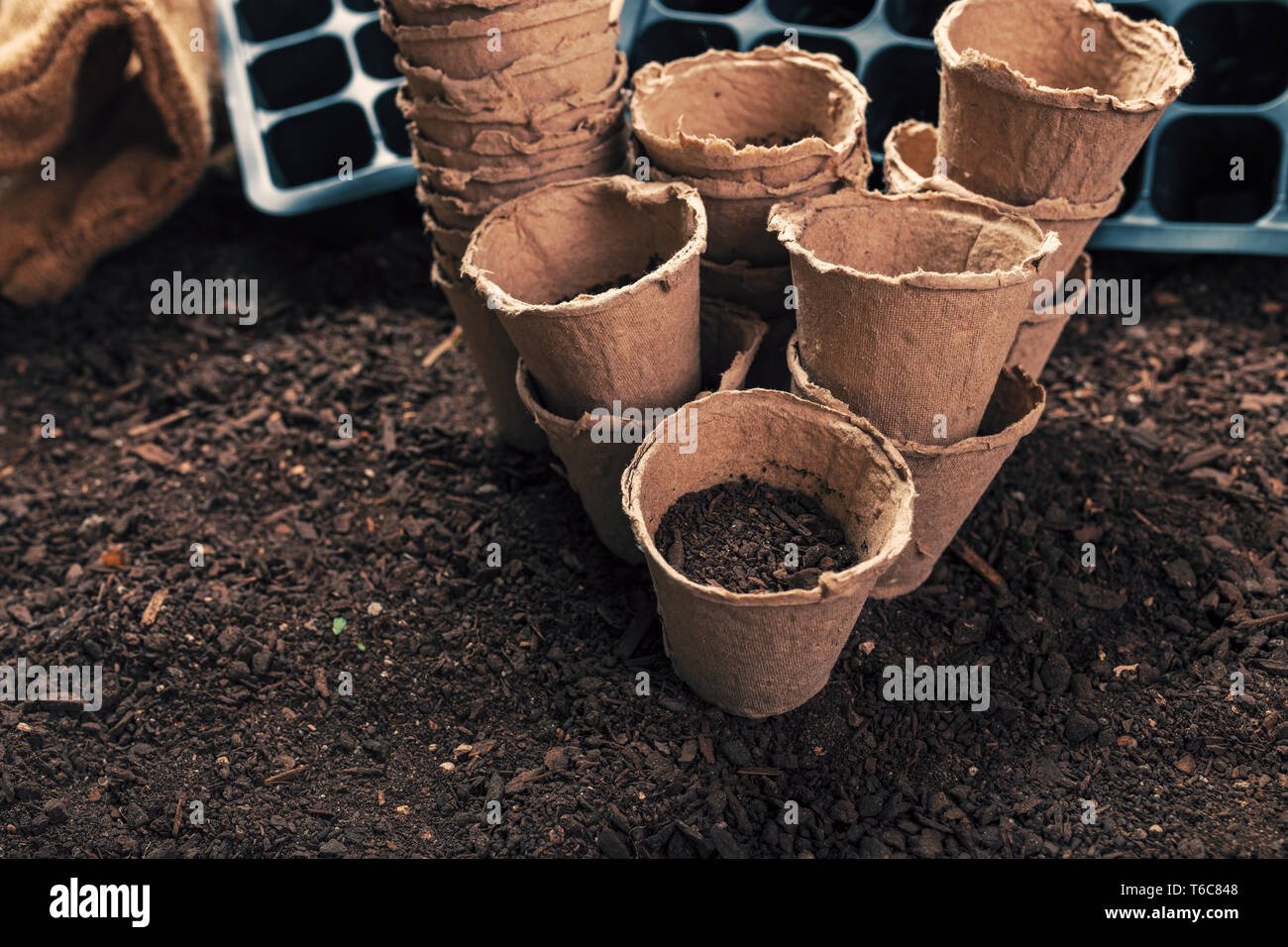 Biologisch abbaubare Torf Töpfe für den ökologischen Landbau die Nahrungsmittelproduktion auf fruchtbaren Boden Boden Stockfoto