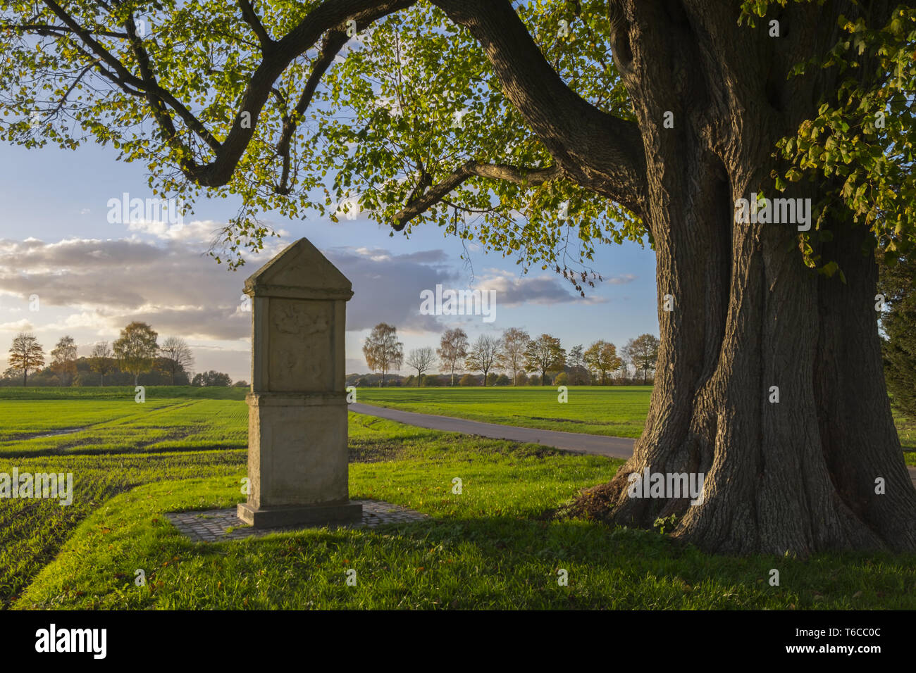 Bildstock am Naturdenkmal Dicke Linde Stockfoto