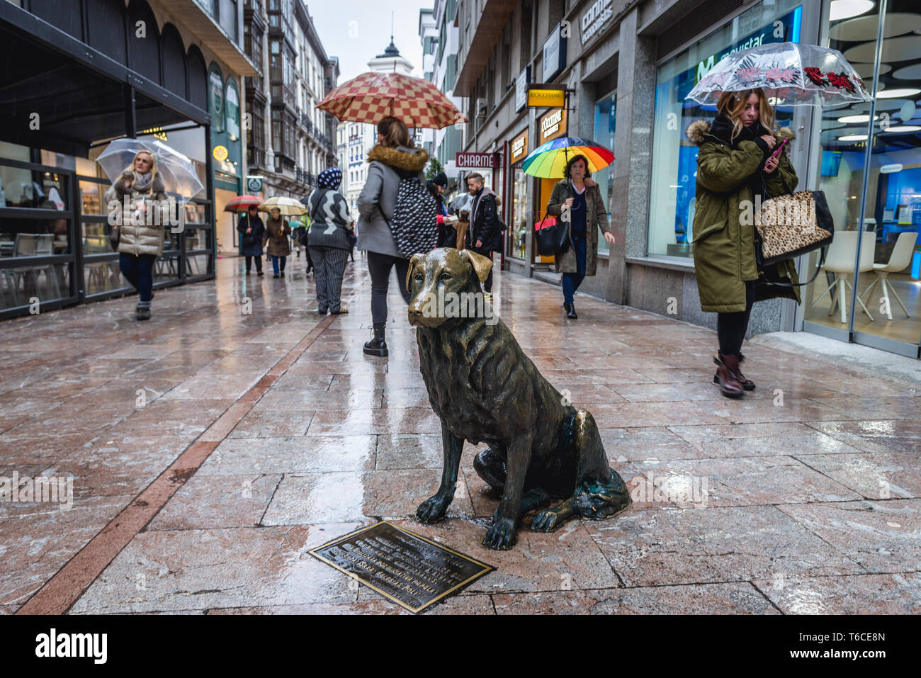 Skulptur des berühmten streunenden Hund namens Pza von Sara Iglesias Poli in Oviedo in Asturien, Spanien Stockfoto