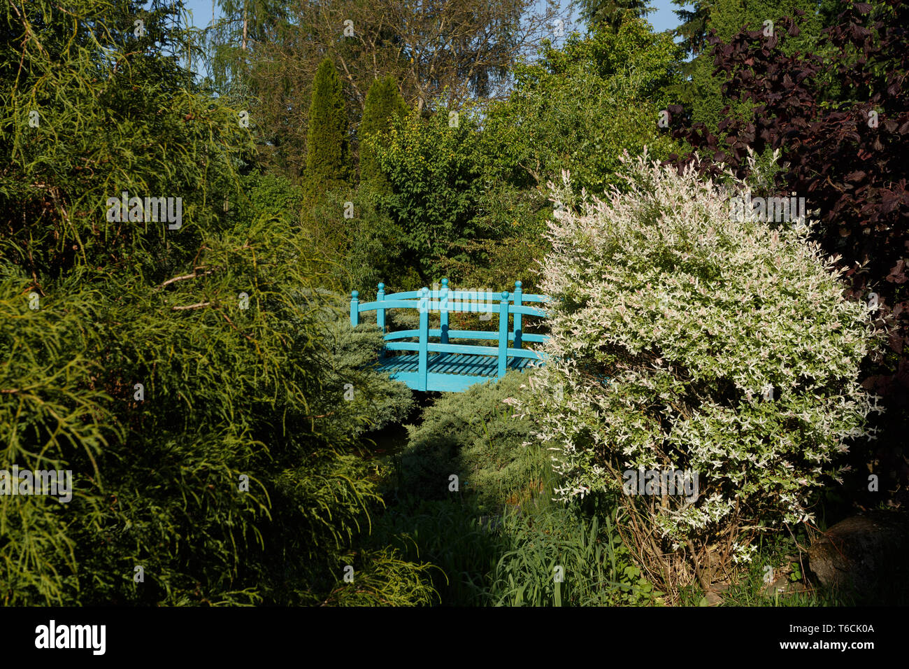 Holzsteg Über Einem Teich Stockfotos und bilder Kaufen Alamy
