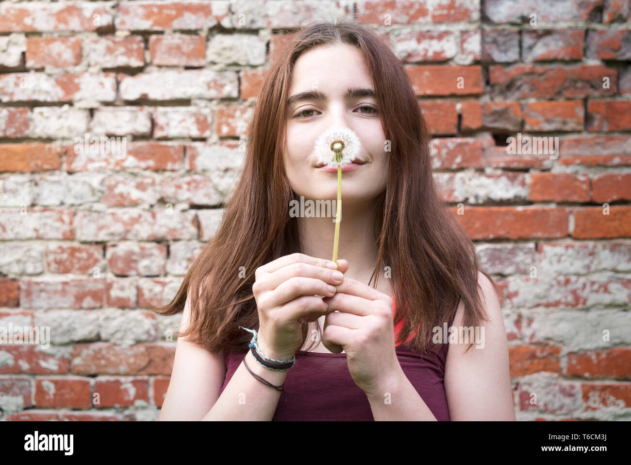 Porträt einer lächelnden jungen Frau hält einen Löwenzahn Stockfoto