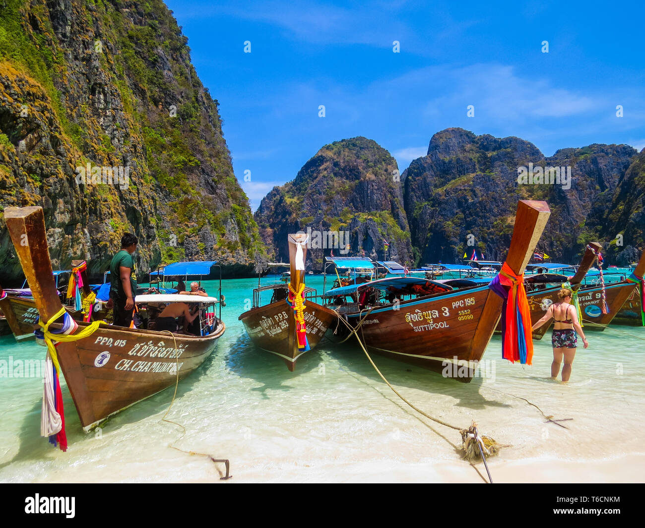 MAYA BAY, THAILAND - 27. MÄRZ 2016: Blick auf den berühmten Strand von Maya Bay. Stockfoto