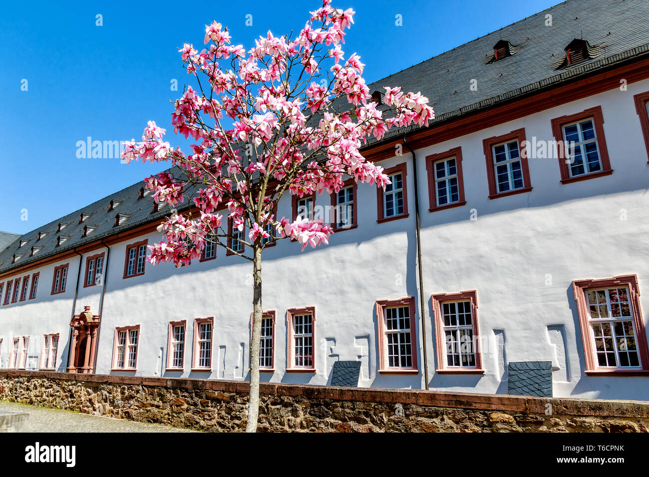 Kloster Eberbach, in der Nähe von Eltville am Rhein - mystische Erbe der Zisterzienser Mönche im Rheingau, Hessen, Deutschland Stockfoto