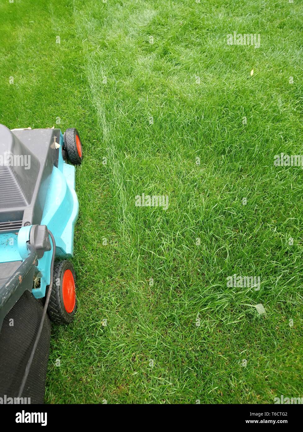 Englischer rasen Fotos und Bildmaterial in hoher Auflösung Alamy