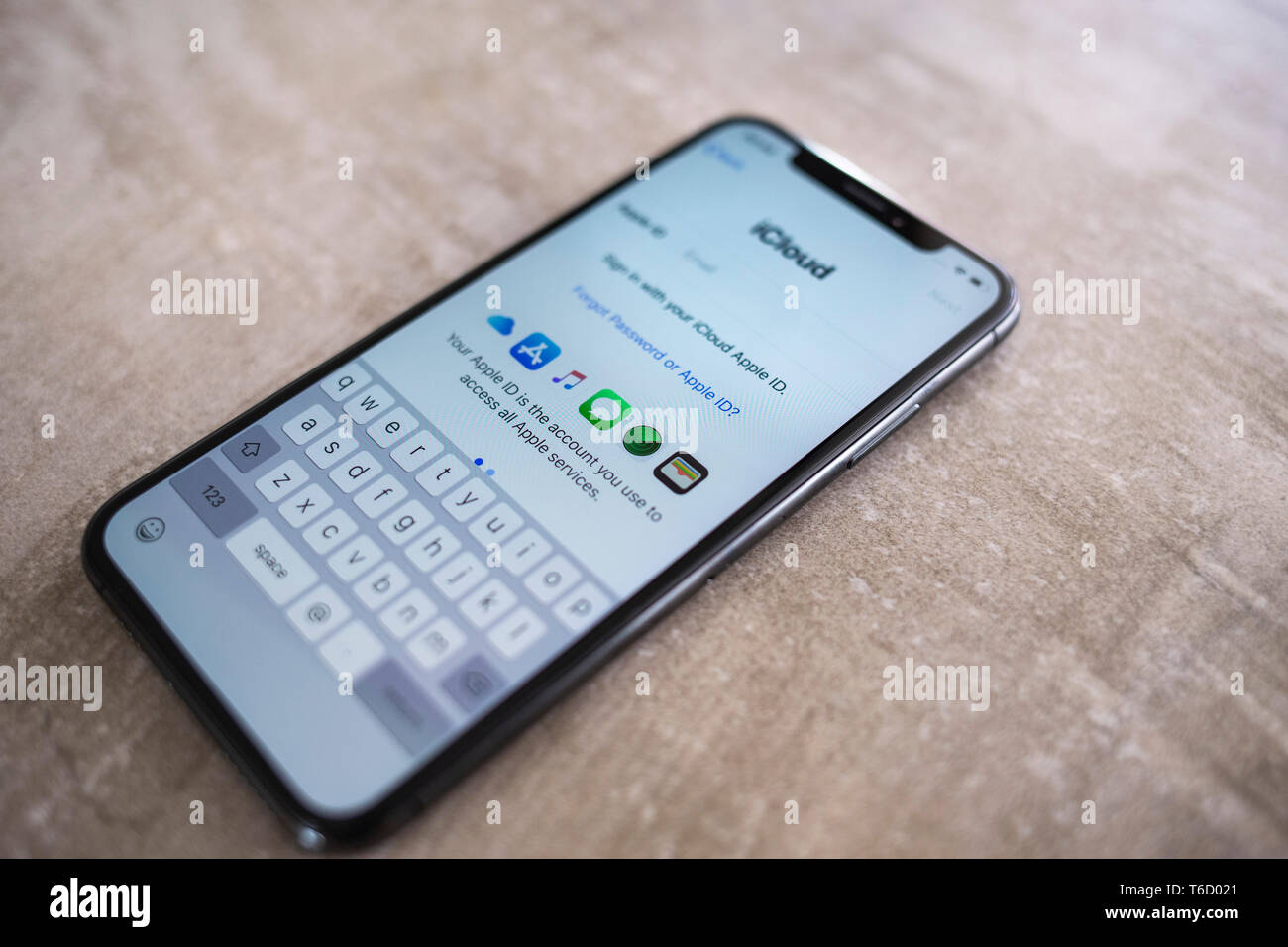 Apple Iphone XS Space Grauer Bildschirm mit Apple iCloud Einstellungen Stockfoto