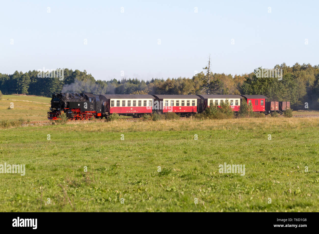 Narrow-Gauge Eisenbahn Harzquerbahn genannt, Selketal, Harz, Deutschland Stockfoto