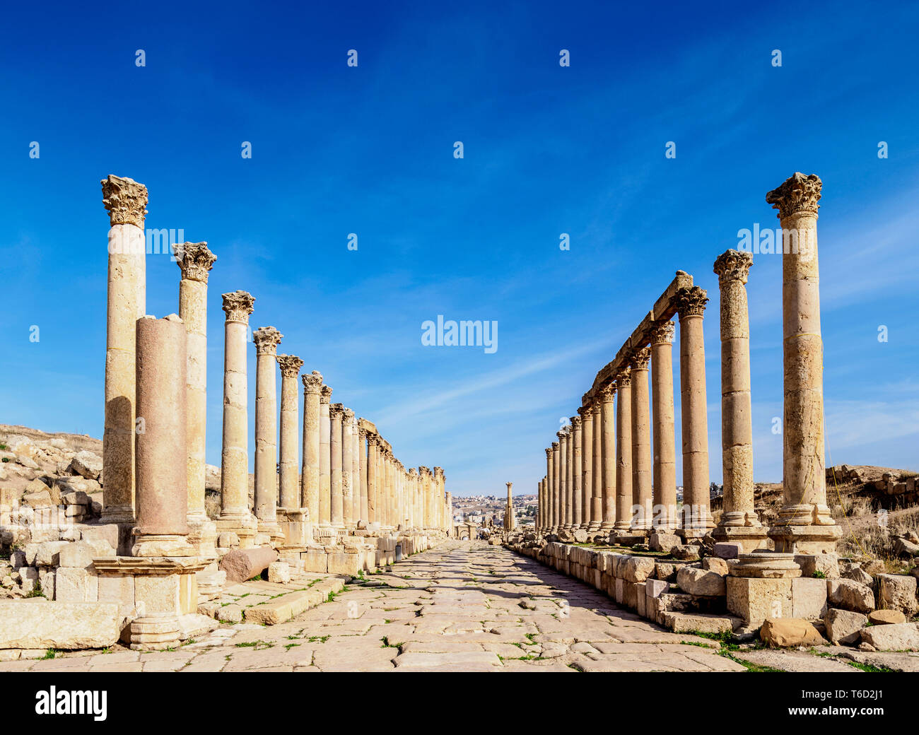 Colonnaded Straße oder Cardo, Jerash, Jerash Governorate, Jordanien Stockfoto
