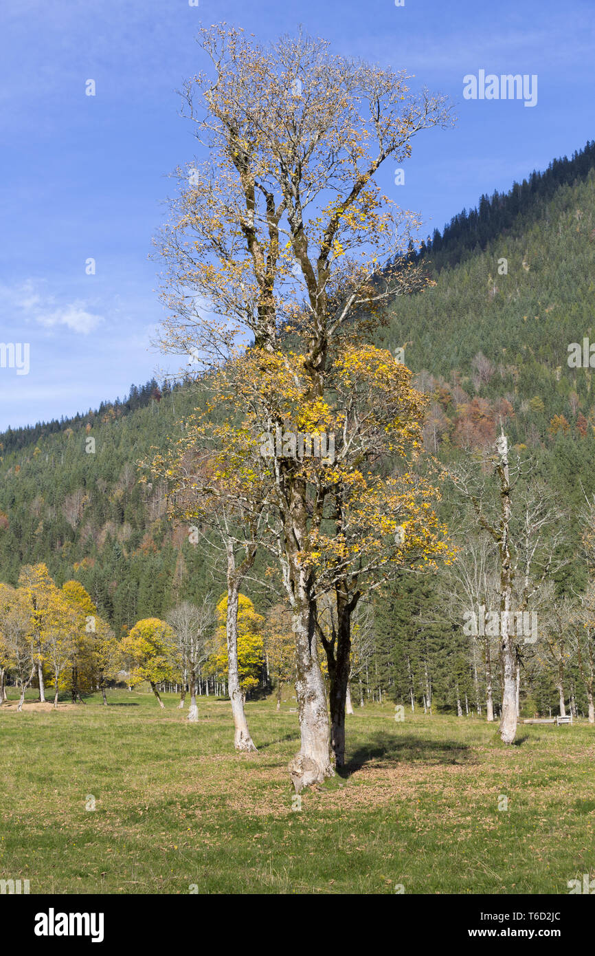 Das Karwendelgebirge in Tirol, im Herbst, Österreich Stockfoto