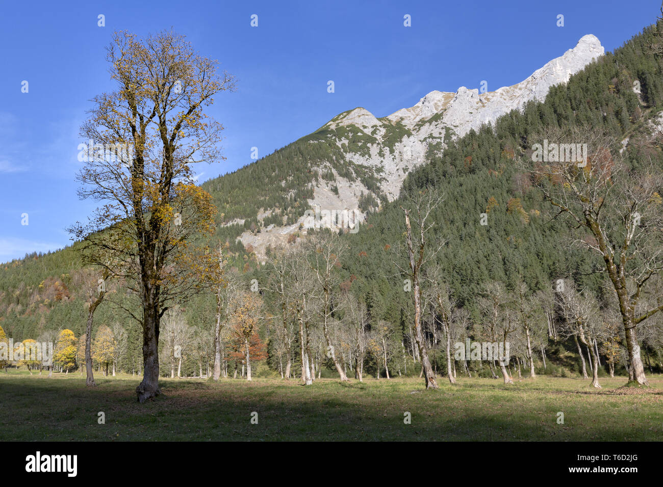 Das Karwendelgebirge in Tirol, im Herbst, Österreich Stockfoto