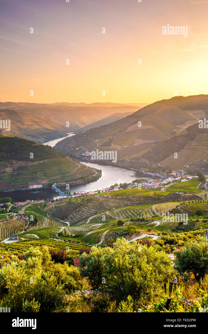 Portugal, Douro bei Sonnenuntergang, terrassierten Weinberge Stockfoto