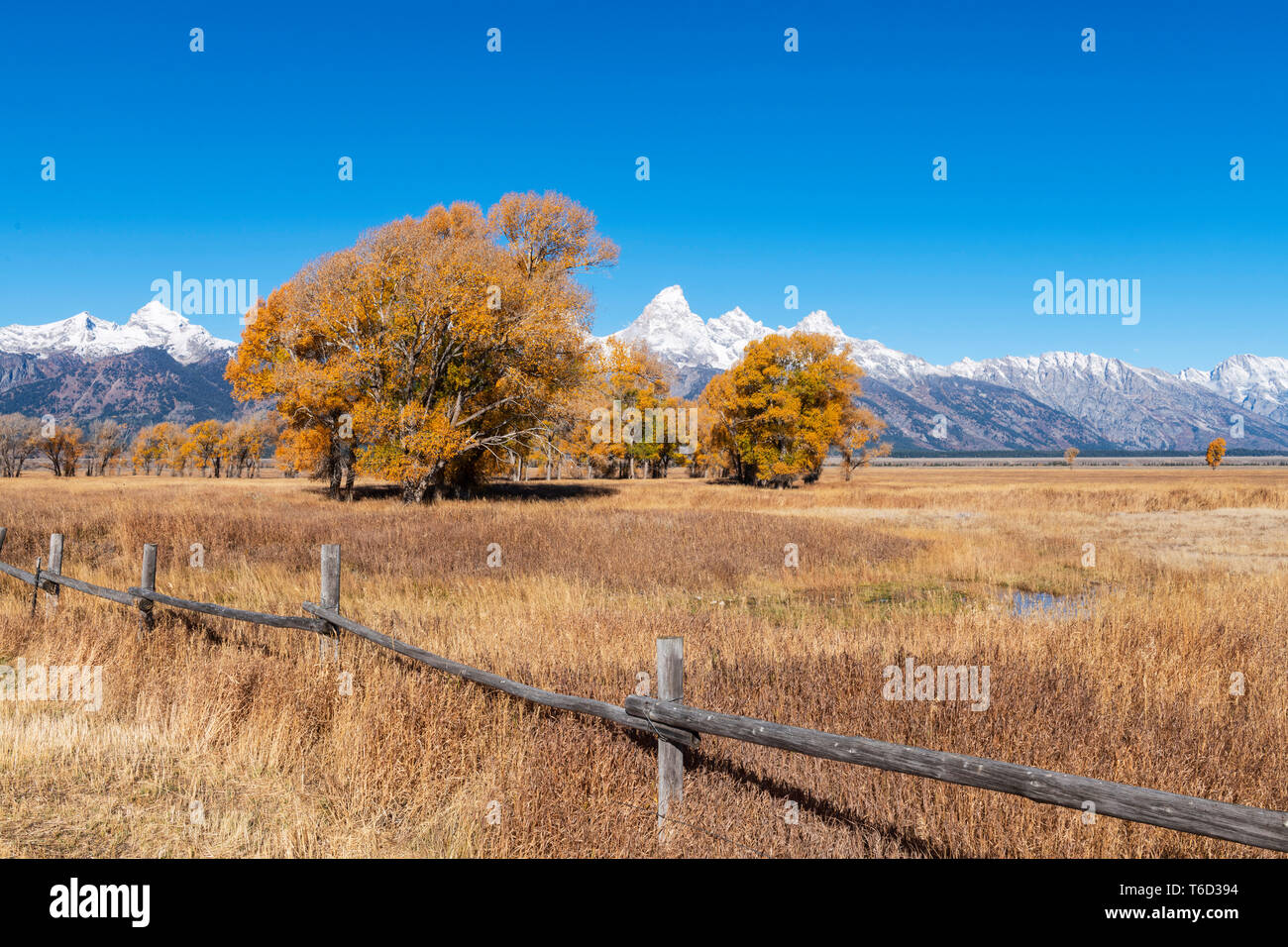 John Moulton historische Scheune, Mormone Zeile, Grand-Teton-Nationalpark, Wyoming, USA Stockfoto