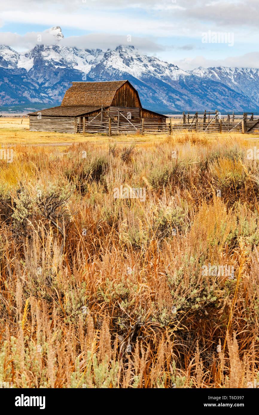 John Moulton historische Scheune, Mormone Zeile, Grand-Teton-Nationalpark, Wyoming, USA Stockfoto