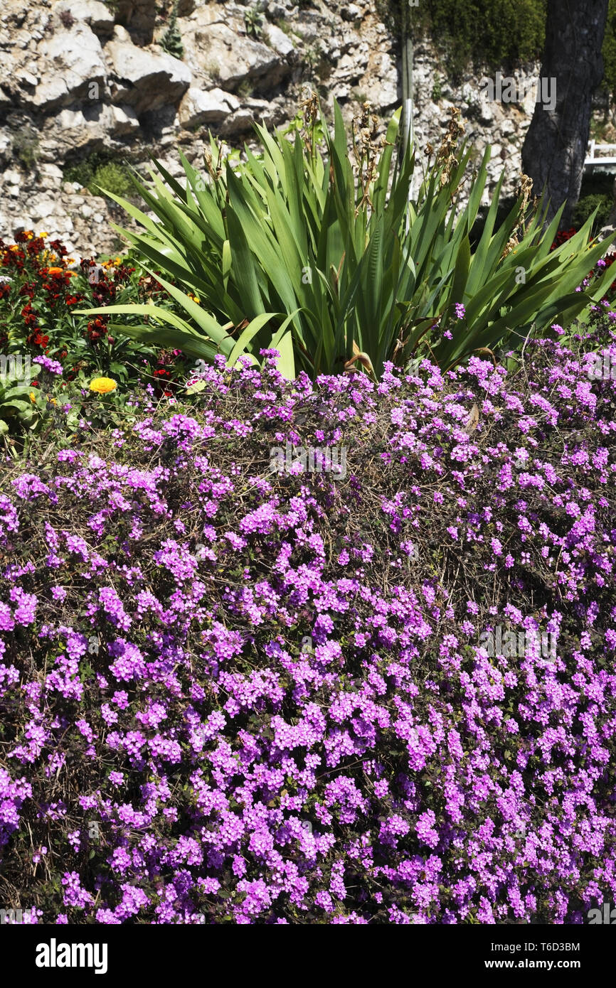 De beausoleil Fotos und Bildmaterial in hoher Auflösung Alamy