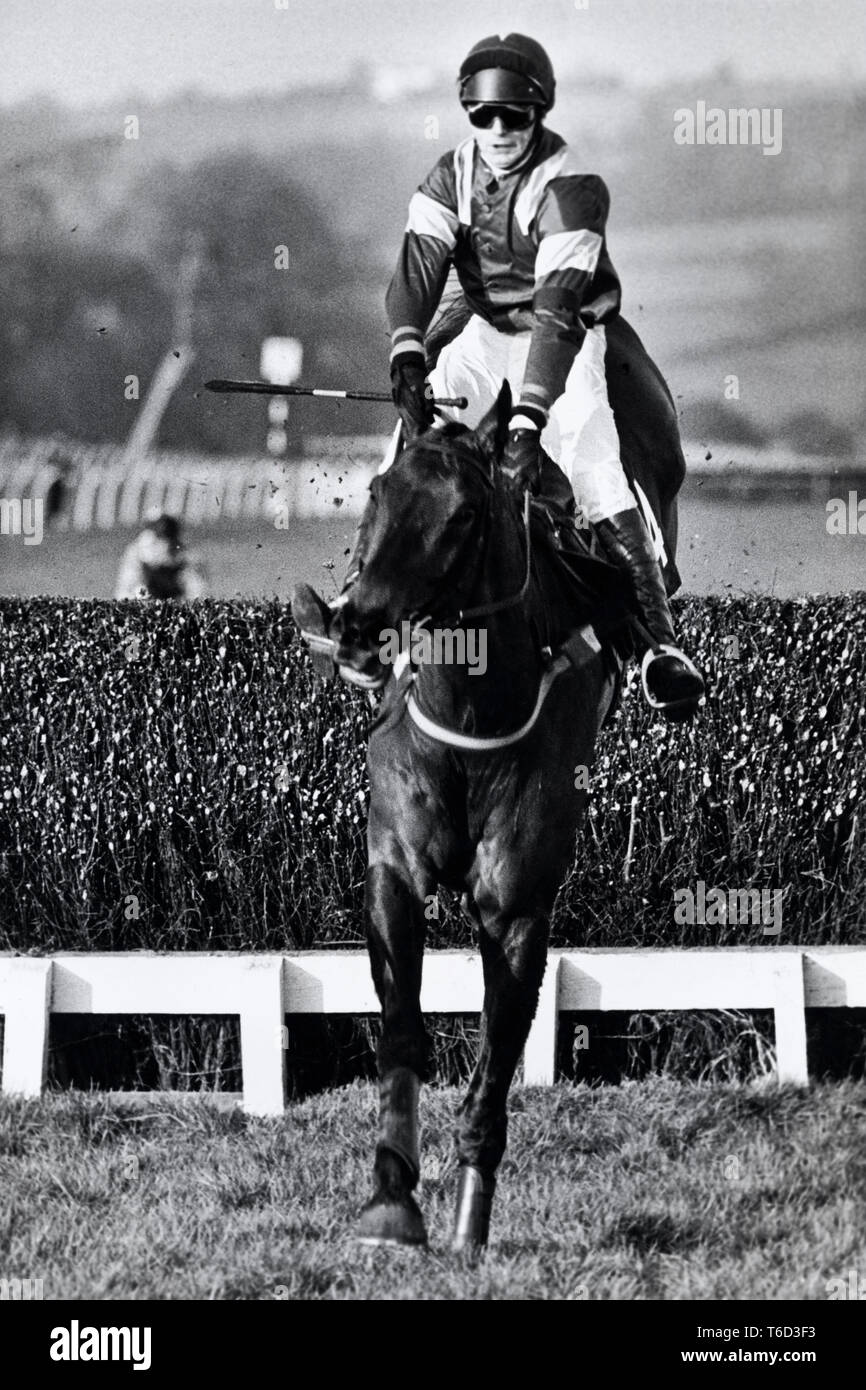 Jockey Mark Perrett springt der letzten Zaun auf Run kostenlos die 1992 Coral Welsh National in Chepstow Racecourse zu gewinnen. Stockfoto