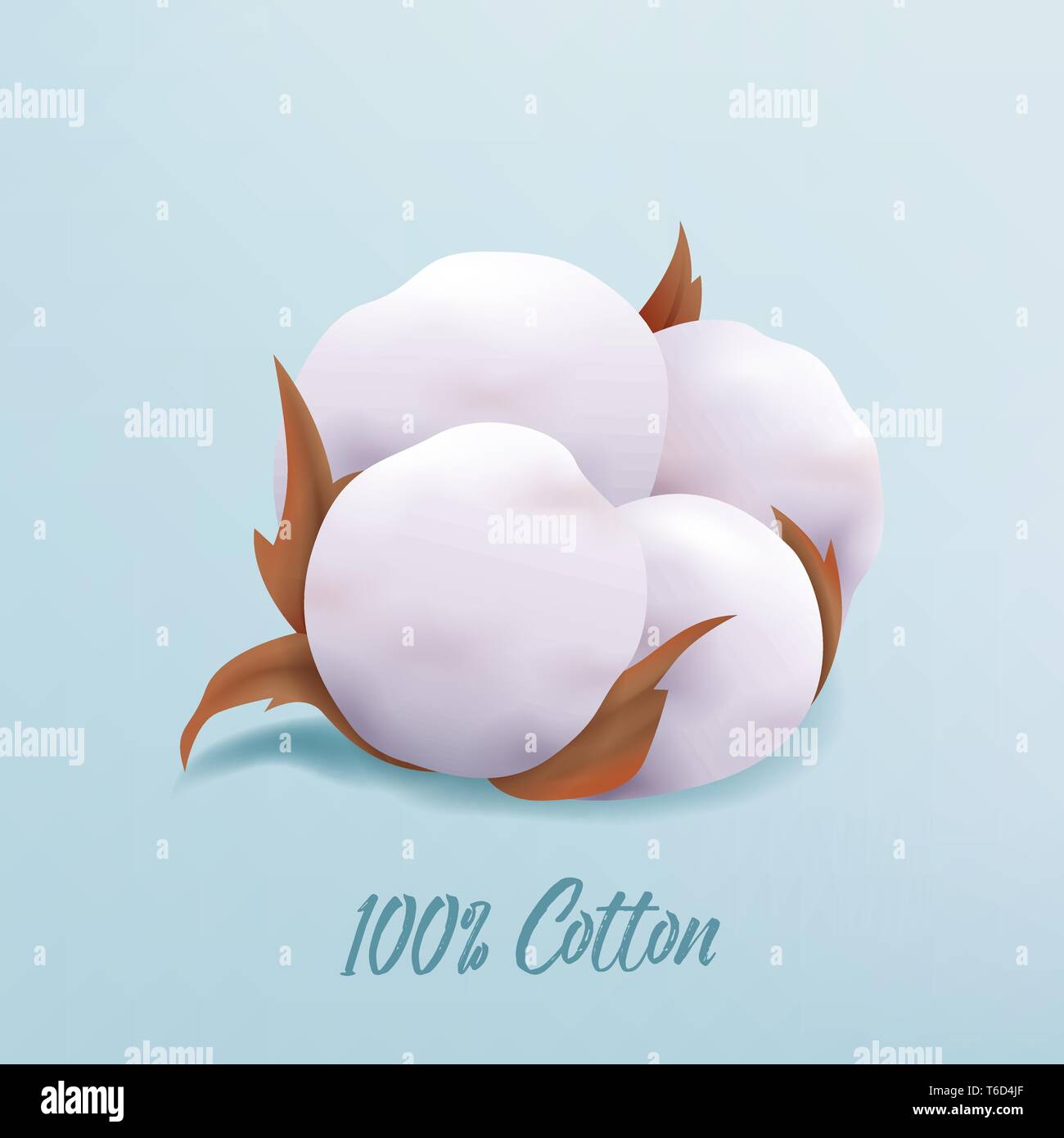 Wunderschöne realistische Baumwolle Blume auf blauem Hintergrund isoliert Stock Vektor