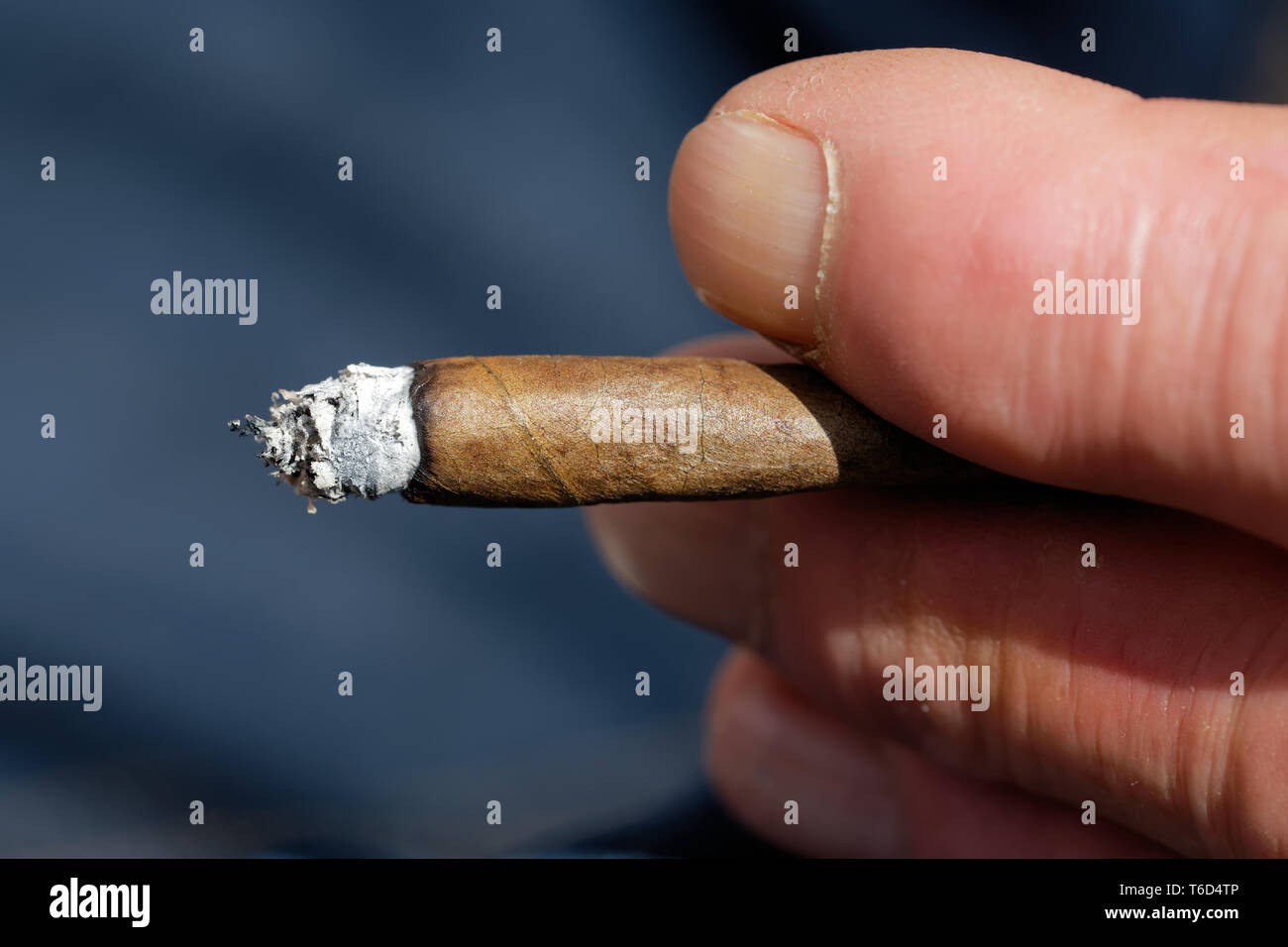 Mann rauchen Zigarillo Stockfoto