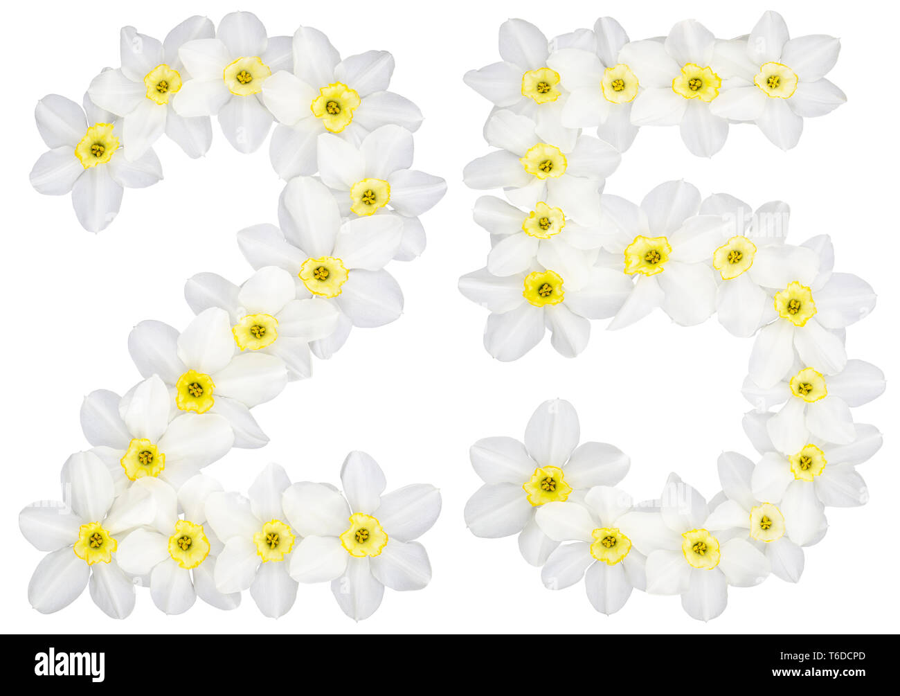 Ziffern 25, 25, aus natürlichen weißen Blumen der Narzisse (Narcissus), auf weißem Hintergrund Stockfoto