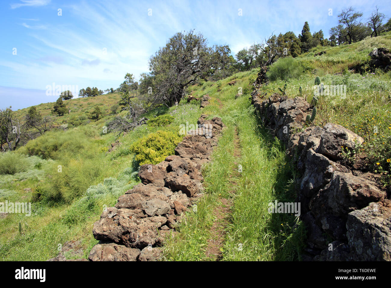 Wanderung von Las Tricias zu Santo Domingo de Garafia Stockfoto