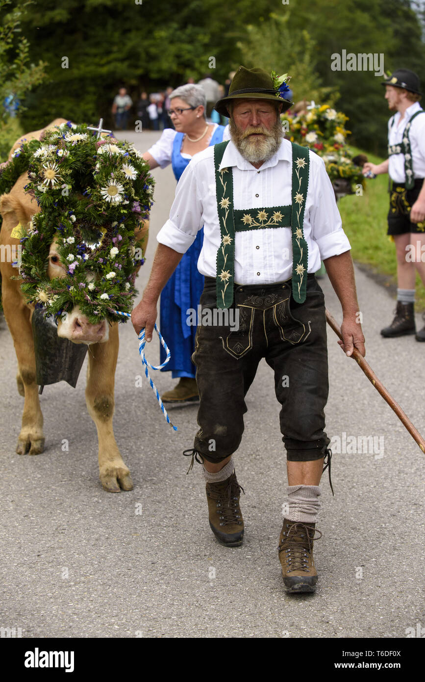 Traditionelle und jährliche Fahren auf eine Herde von Kühen mit Hirten in traditioneller Kleidung zu stabilen, Bayern, Deutschland Stockfoto