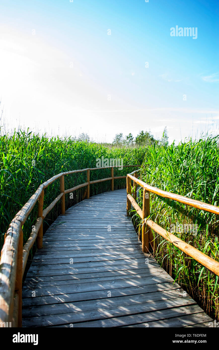 Friedliche Natur Holz- spaziergang Trail bei Sonnenuntergang. Stockfoto