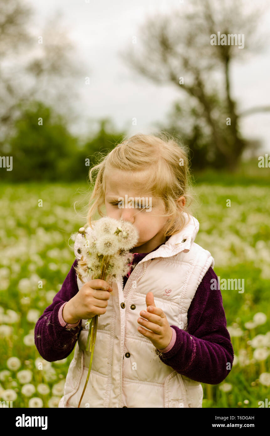 Adorable blonde Mädchen bläst Löwenzahn Blume in einer schönen Wiese Stockfoto