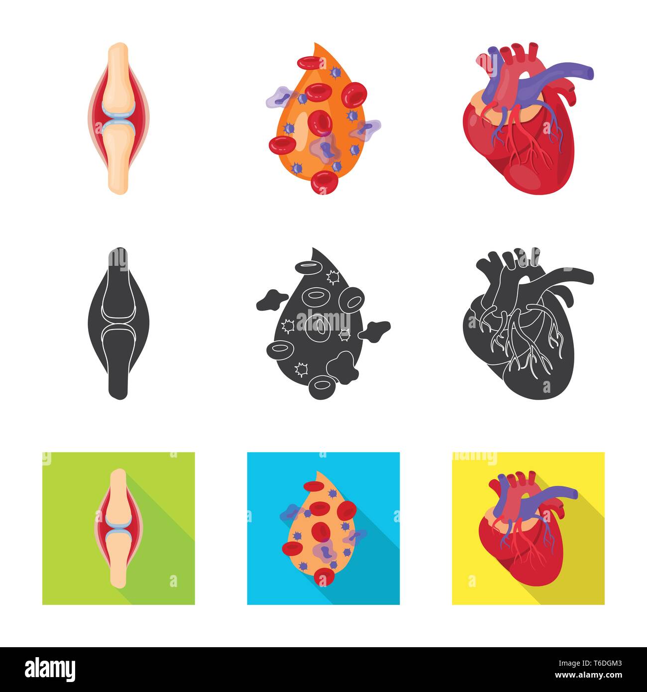 Knochen-, Blut, Herz, Sehne, Plasma, Kardiologie, Ligament, Zelle, Herz-Kreislauf-Erkrankungen, Verletzungen, Abdeckung, Körper, Muskeln, Spende, koronare, Knochenmark, Krankheit, Arterie, Gelenk, Herzblut, Aorta, Knorpel, Druck, Vene, genetische, Bewegung, Infektion, Biologie, Wissenschaft, Forschung, Labor, Anatomie, Orgel, innere, Medizin, Mensch, Gesundheit, Set, Vector, Icon, Illustration, isoliert, Sammlung, Design, Element, Grafik, Vektor, Vektoren, Stock Vektor