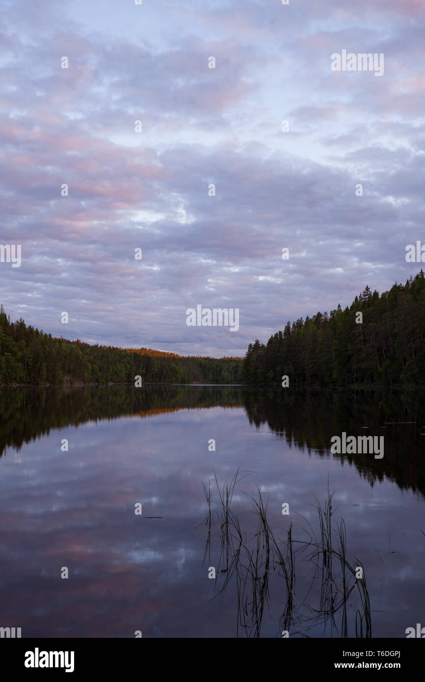 Ruhige Wald See an Midsummer Night Sky Reflexion Stockfoto
