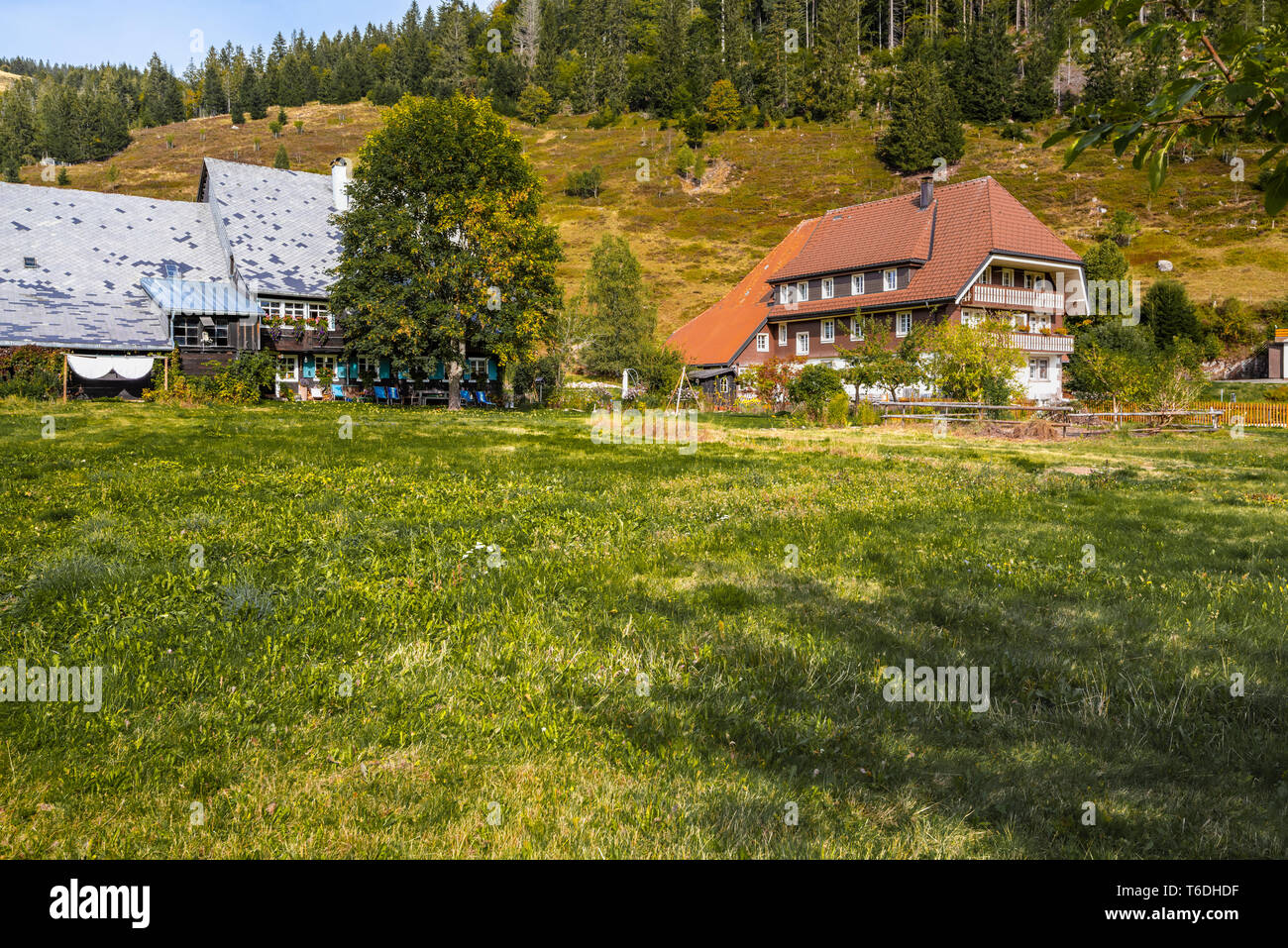 Schwarzwald Häuser und bewaldeten Hügeln in Menzenschwand, Schwarzwald, Deutschland, Bauernhof mit angrenzendem Wohnbereich, einem Stadtteil von St. Blasien Stockfoto