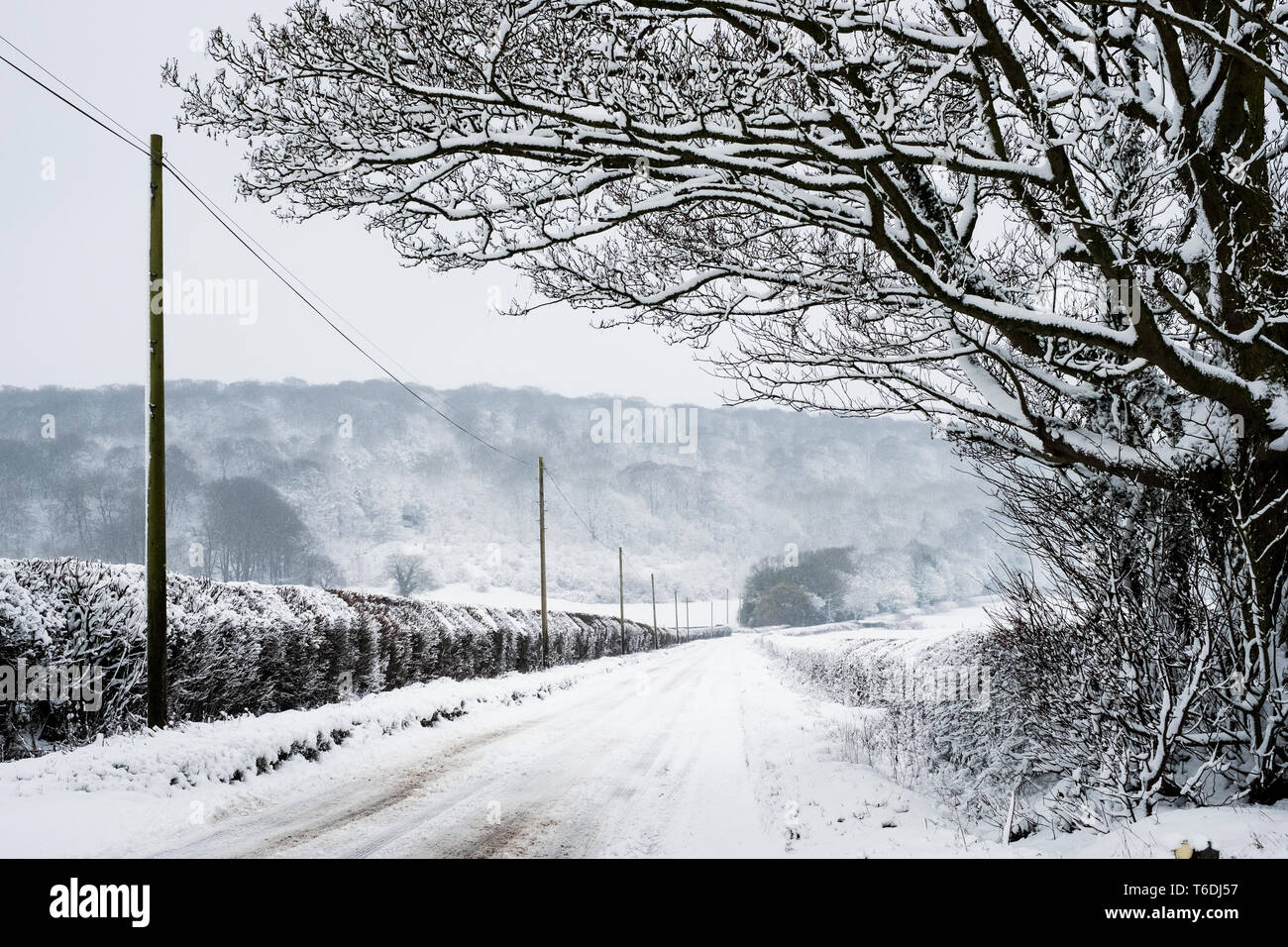 Blick entlang einer ländlichen Straße, gesäumt mit verschneiten Bäumen und Hecken, mit Bäumen auf einem Hügel in der Ferne. Stockfoto