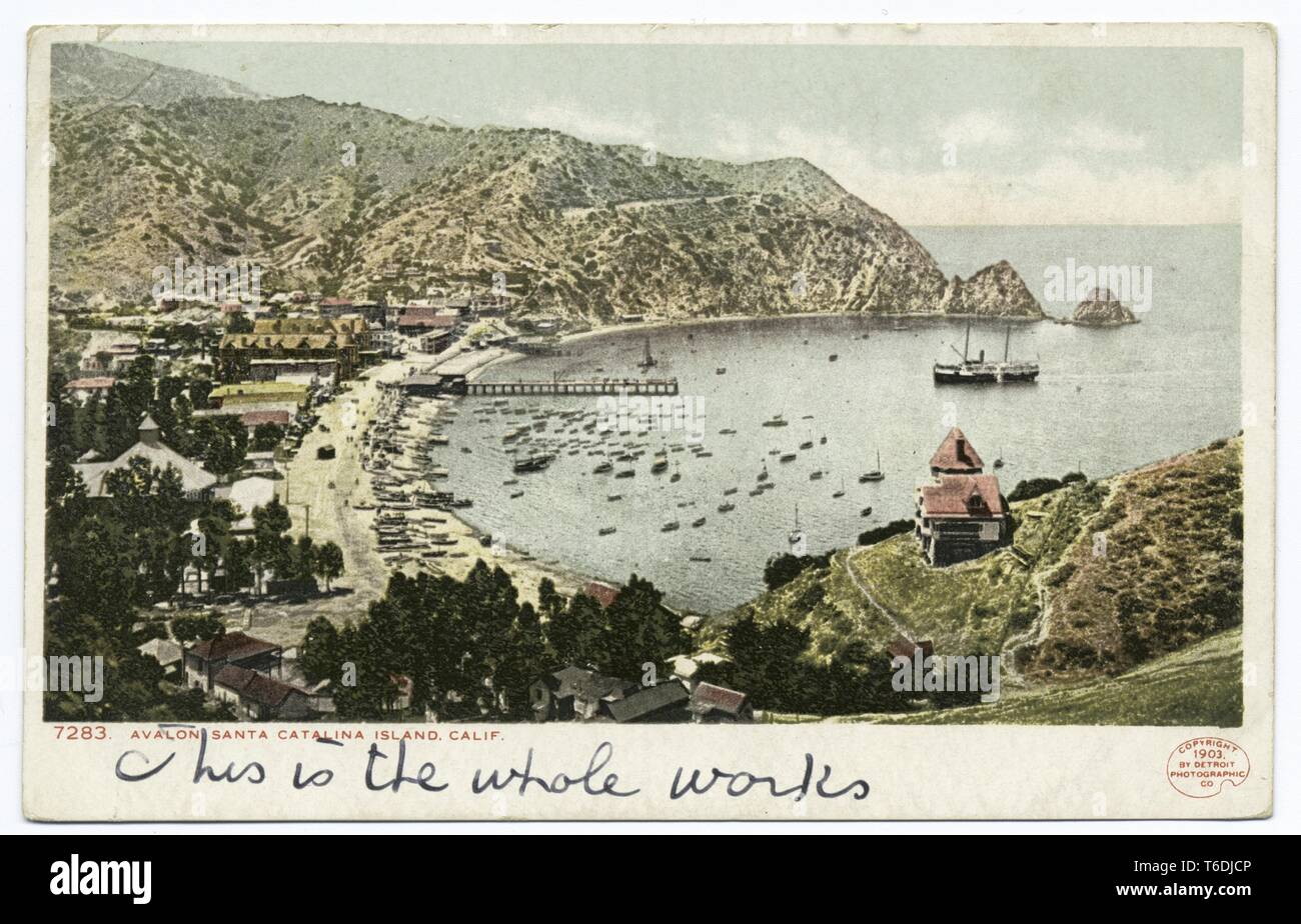 Detroit fotografische Begleitung Ansichtskarte Reproduktion der Avalon Hafen auf Santa Catalina Island, Kalifornien, 1903. Von der New York Public Library. () Stockfoto