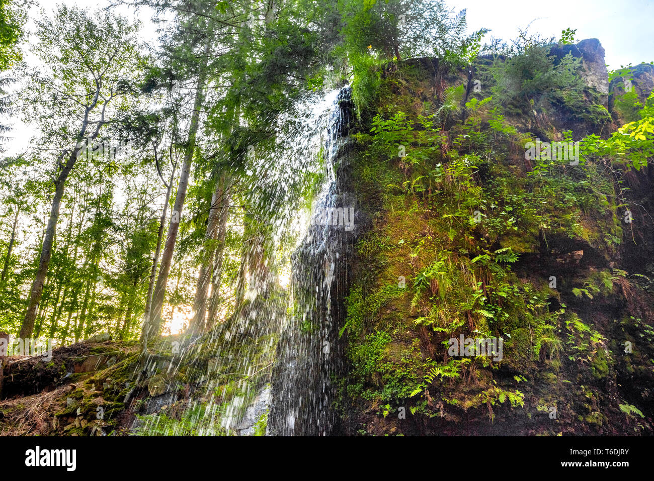 Die Wasserfälle von Menzenschwand, Hochschwarzwald, Deutschland, Cascade in eine Schlucht über rock Kante fallen, Sonnenuntergang hinter dem Wasserfall Stockfoto