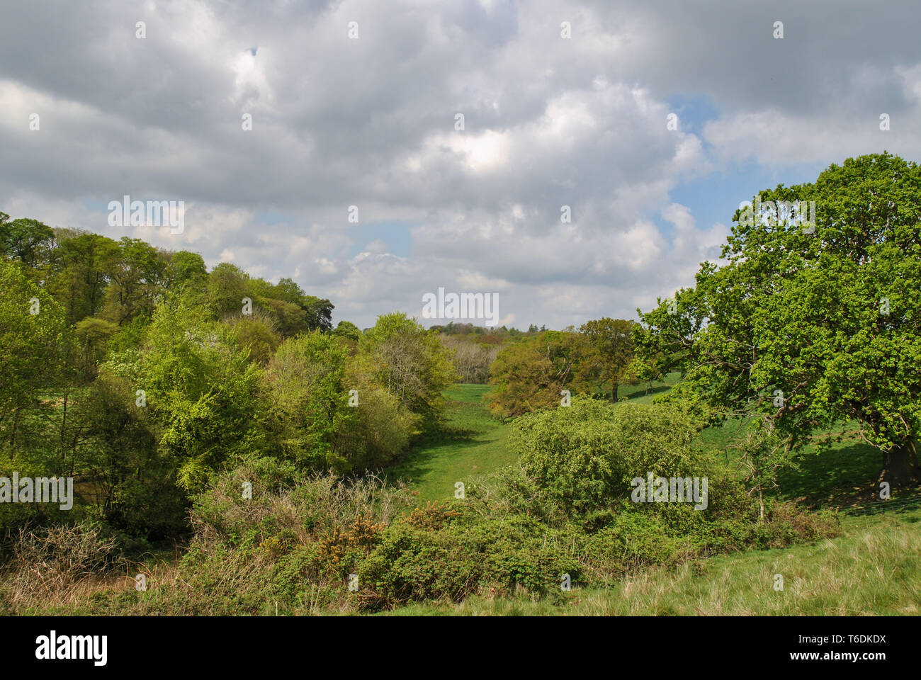 Eine britische Land Tal im Frühling Stockfoto