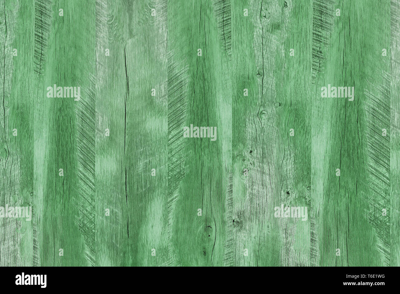 Holz Textur mit natürlichen Muster, grün Holz- Textur. Stockfoto